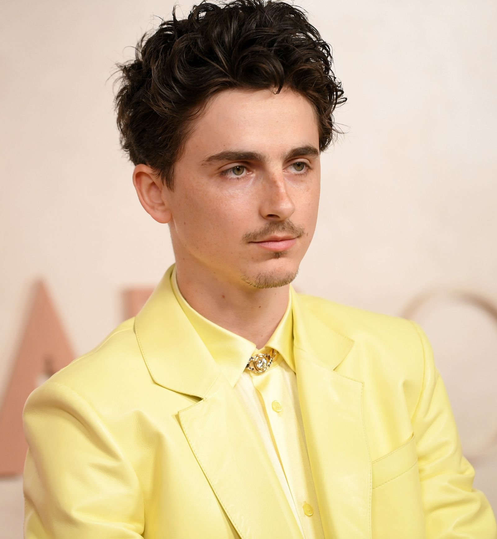 Timothe Chalamet