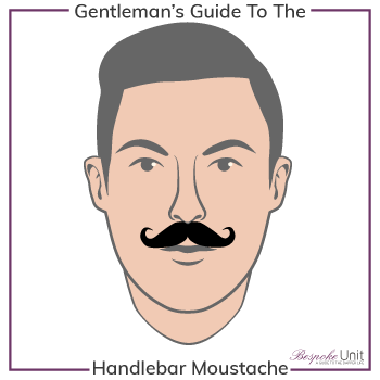 ما هي عائلة الشوارب الملتوية الأطراف (Handlebar)؟