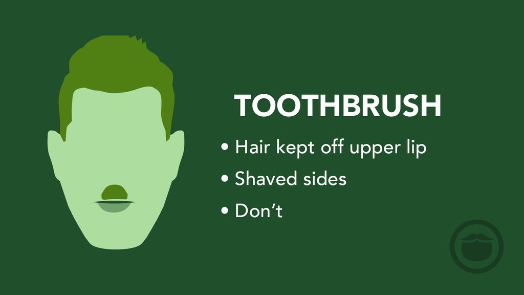 رسم توضيحي ملون لشارب يشبه فرشاة الأسنان (Toothbrush)، مع أبرز سمات هذا النمط في نقاط.