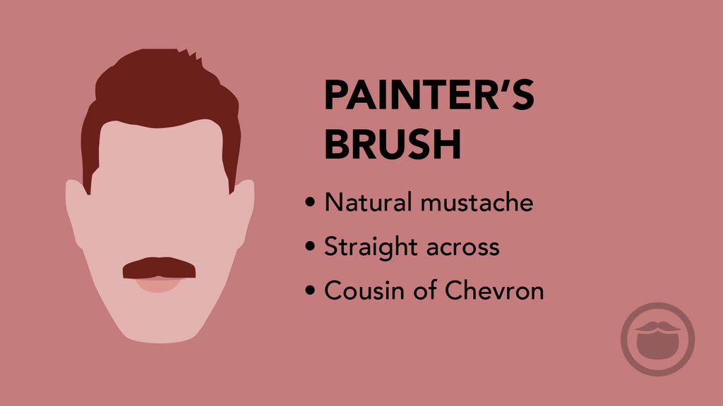 رسم توضيحي ملون لشارب يشبه فرشاة الرسم (Painter’s Brush)، مع أبرز سمات هذا النمط في نقاط.