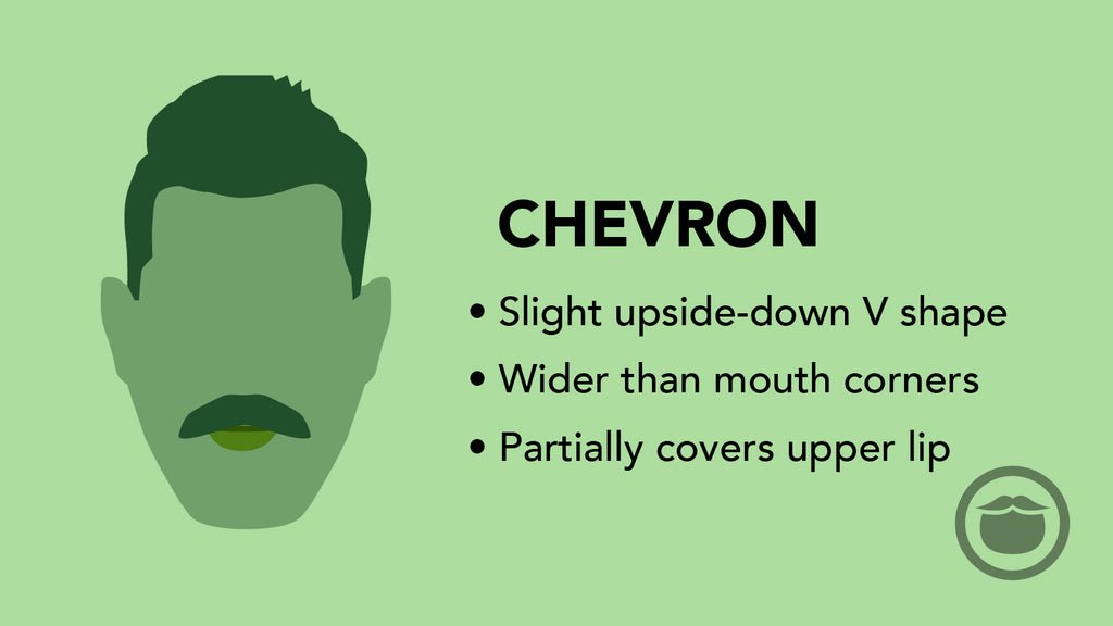 رسم توضيحي ملون لشارب على شكل حرف V مقلوب (Chevron)، مع أبرز سمات هذا النمط في نقاط.