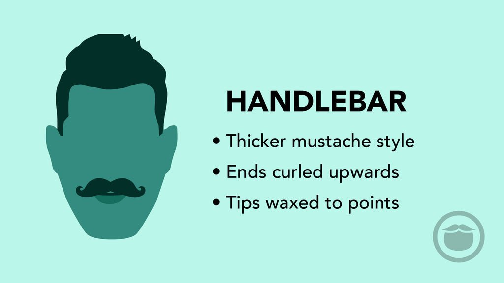 رسم توضيحي ملون لشارب ذي أطراف منحنية للأعلى تشبه مقود الدراجة (Handlebar)، مع أبرز سمات هذا النمط في نقاط.