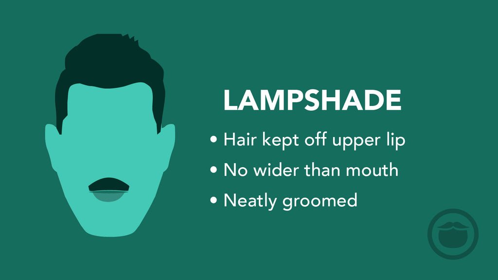 رسم توضيحي ملون لشارب على شكل عاكس الضوء (Lampshade)، مع أبرز سمات هذا النمط في نقاط.