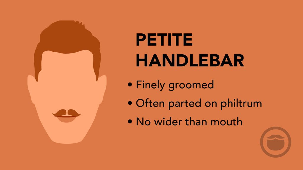 رسم توضيحي ملون لشارب صغير ذي أطراف منحنية للأعلى (Petite Handlebar)، مع أبرز سمات هذا النمط في نقاط.