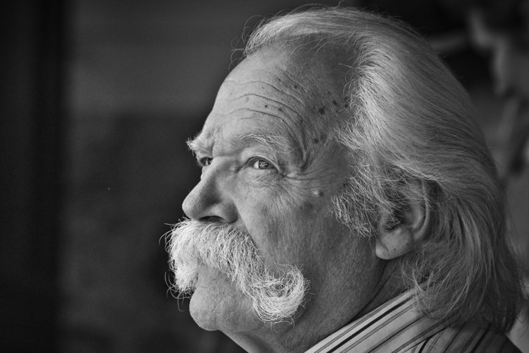 ما هو شارب "الفظ" (Walrus) من فئة الشوارب الملتوية الأطراف (Handlebar)؟